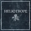 About Heliotrope Song