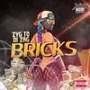 Bricks