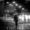 About I feel cold Song