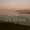 About You're Not Alone Song