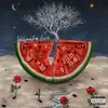 About Watermelon Seeds Song