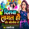 About Dilwa Lalgal Hau Tor Bahiniya Se Song