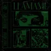About Llamame Song