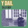 About Silly Boy Song