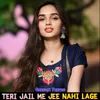 Teri Jail Me Jee Nahi Lage