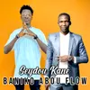 About Seydou Kané Song