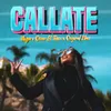About Cállate Song