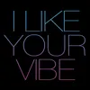 I Like Your Vibe