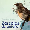 Añoranzas