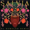 About Salvia Song