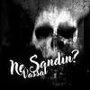 About Ne Sandın? Song