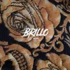 About Brillo Song