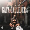 About Gata Callejera Song
