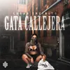 Gata Callejera