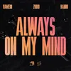 About Always On My Mind Song