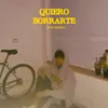 About Quiero Borrarte Song