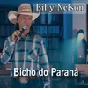 About Bicho do Paraná Song