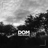 About Dom Particular Song