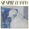 About Siempre Llamas Song