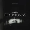 About Feromonas Song