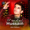 About Ay Maray Mola Hussain Song
