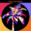 About Fake Friends Song