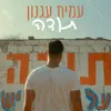 About תודה Song