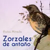 Cenizas