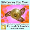 20 Horn Trios: No. 20, Allegretto