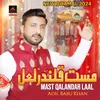 About Mast Qalandar Laal Song