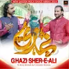 Ghazi A.s Sher E Ali