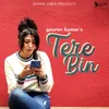 About Tere Bin Song