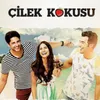 About Çilek Kokusu Song