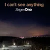 About I can't see anything Song