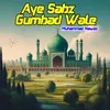 About Aye Sabz Gumbad Wale Song