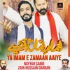 About Ya Imam E Zamaan Aaiye Song