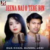 About Jeena Nai O Tere Bin Song