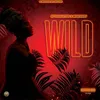 About Wild Song