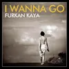 About I Wanna Go Song