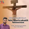 About Nin Murivukalil Ninnetten Song