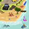 Never say goodbye