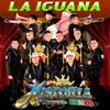 About La Iguana Song