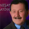 About Güllişan Song