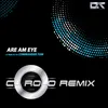 Are Am Eye (A Tribute To COMMANDER TOM)