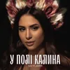 У полі калина