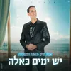 About יש ימים כאלה Song