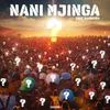 Nani Mjinga