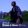 Dream Is Never Wrong