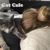 Cat Cafe