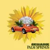 About Palm Springs Song